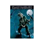 ( железный * Maiden ) Iron Maiden официальный товар Benjamin Breeg открытка RO8082 ( голубой / черный )