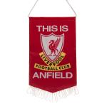 liba бассейн * футбол Club Liverpool FC официальный товар This Is Anfield Mini pe наан to украшение TA10451 ( красный / ho 