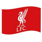 liba бассейн * футбол Club Liverpool FC официальный товар флаг флаг стена украшение TA4605 ( красный )