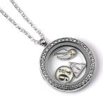 ( Harry *pota-) Harry Potter официальный товар очарование колье подвеска TA7962 ( серебряный )
