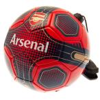  arsenal футбол Club Arsenal FC официальный товар умение тренировка для футбольный мяч TA8053 (re