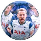 totenam* hot spa- футбол Club Tottenham Hotspur FC официальный товар фотография футбольный мяч TA8476 (