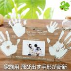  Family -stroke - Lee family hand-print foot-print photo frame picture frame celebration of a birth inside festival . birth birth inside festival . baby memorial reply siblings sisters hand pair type 