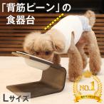 【犬 猫 食器】傾斜のある食器台(Lサイズ) ( ペット フード ボウル スタンド おしゃれ 餌入れ 食事台 皿 陶器 )