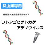【自宅で遺伝子検査・郵送型】爬虫類の遺伝子検査キット フトアゴアデノウイルス(Agamid adenovirus 1) レオパなどに |F-1