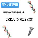 【自宅で遺伝子検査・郵送型】爬虫類の遺伝子検査キット カエル ツボカビ | F-3