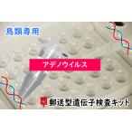 【郵送型遺伝子検査】鳥の遺伝子検査キット 　対象<<鳥アデノウイルス>>　｜　インコ、オウム、フィンチ等
