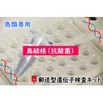 【自宅で遺伝子検査・郵送型】小鳥の遺伝子検査キット 鳥抗酸菌/鳥結核/MAC 検査用