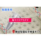 【自宅で遺伝子検査・郵送型】小鳥の遺伝子検査キット 鳥マイコプラズマ 検査用