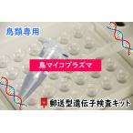 【郵送型遺伝子検査】鳥の遺伝子検査キット 　対象<<鳥マイコプラズマ>>　｜　インコ、オウム、フィンチ等