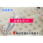 【郵送型遺伝子検査】鳥の遺伝子検査キット 　対象<<パネル型　お迎え健診用>>　｜　インコ、オウム、フィンチ等