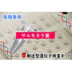【自宅で遺伝子検査・郵送型】小鳥の遺伝子検査キット サルモネラ菌 検査用
