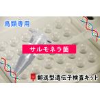 【郵送型遺伝子検査】鳥の遺伝子検査キット 　対象<<サルモネラ菌>>　｜　インコ、オウム、フィンチ等