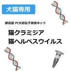 【ペット用遺伝子検査】猫の遺伝子検査キット　猫クラミジア&猫ヘルペスウイルス　C1+C2