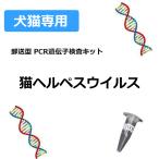 【ペット用遺伝子検査】猫の遺伝子検査キット 猫ヘルペスウイルス C1