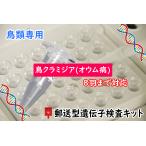 【自宅で遺伝子検査・郵送型】小鳥の遺伝子検査キット 鳥クラミジア(オウム病) 最大8羽まで検査OKタイプ インコ