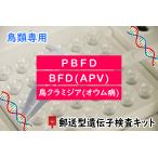 【自宅で遺伝子検査・郵送型】小鳥の遺伝子検査キット　BFD[APV] + PBFD + 鳥クラミジア(オウム病) 検出用　インコ