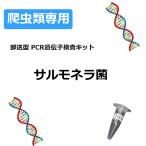 【自宅で遺伝子検査・郵送型】爬虫類の遺伝子検査キット サルモネラ菌 |