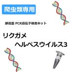 【自宅で遺伝子検査・郵送型】爬虫類の遺伝子検査キット リクガメヘルペスウイルス3 ギリシャリクガメなどに |F-2