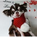  собака для хлопок вязаный для домашних животных muffler зима теплый . день рождения, Рождество подарок . домашнее животное товар. аксессуары 