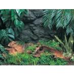  производитель : Kotobuki прикладное искусство ... бог . Amazon 600 аквариум 