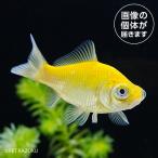 商品画像3