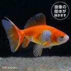 商品画像3