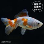 商品画像3