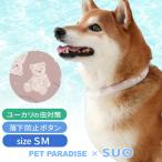 犬 クールリング 28℃ クールリング SUO 2025年モデル 中型犬 くま SM | 夏 クールネック ボタン付き 暑さ対策 ネッククーラー