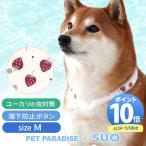 【P10倍】犬 クールリング 28℃ クールリング SUO 2025年モデル 大型犬 苺 M | 夏 クールネック ボタン付き 暑さ対策 ネッククーラー