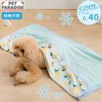 リサとガスパール 犬 ブランケット 夏用 シトラス クールブランケット   |  イエロー レモン  接触冷感 ペット クールケット マット 猫 毛布 ひざ掛け
