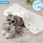 犬 ブランケット 夏用 クール くまちゃん柄 小型犬 | ホワイト 接触冷感 ペット クールケット マット 猫 暑さ対策 毛布 ひざ掛け