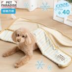犬 ブランケット 夏用 ナチュラル柄 クール | ブルー 縞模様  接触冷感 ペット クールケット マット 猫 毛布 ひざ掛け ひんやり 冷却 冷感 涼感 車