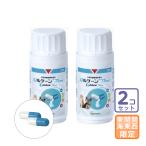 お届け先関東・関西・東海地区限定/2個セット「ジルケーン 75mg」【0520】