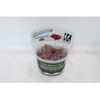 【通販 水草】組織培養 クリプトコリネ 