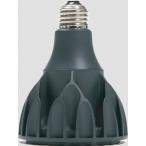 Helios Aqua LED HA20 Black ( износ мужской aqua свет LED HA2 черный )( пресная вода для )