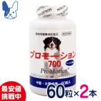共立製薬 プロモーション700 2個セット（消費期限2026年5月）
