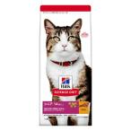 猫用ドライフード