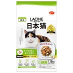 猫用ドライフード