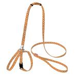 ◇ペティオ  CAT HARNESS ドットハーネスリード オレンジ W55950