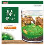 その他水槽