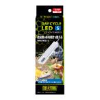 *jekstei cycle LED S