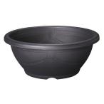 在庫限りで廃番◇スドーメダカ鉢黒茶15号