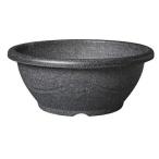 ◇スドーメダカ鉢ラメ15号