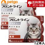 【クロネコDM便専用】【2箱セット】猫用フロントライ