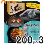 猫用ドライフード