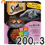 猫用ドライフード