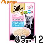 猫缶、ウエットフード