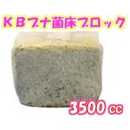 [KB ферма ][ oo common take. пол * жук-олень личинка разведение для . пол *. нить ]KB бук . пол блок 3500cc