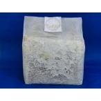 微創研【mother】菌糸ブロック オオヒラタケＥタイプ 広葉樹中目　３，６Ｌ　※商品説明をよくお読みの上、ご注文下さい。